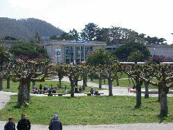 California Academy of Sciences, Golden Gate Park, San Francisco, Kalifornien