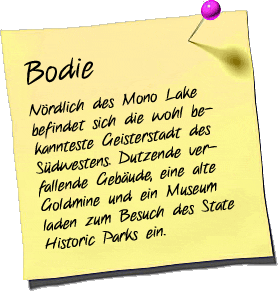 Bodie